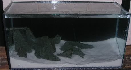 80lt3.jpg