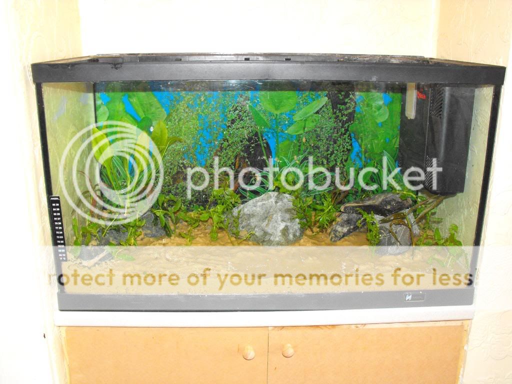 DSCF1106.jpg