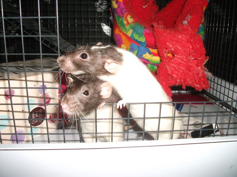 DSCF1547.jpg