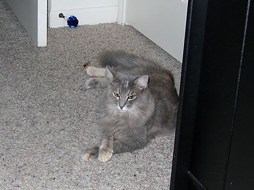 DSCN6107.jpg
