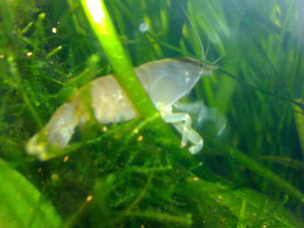 DSC00484.jpg