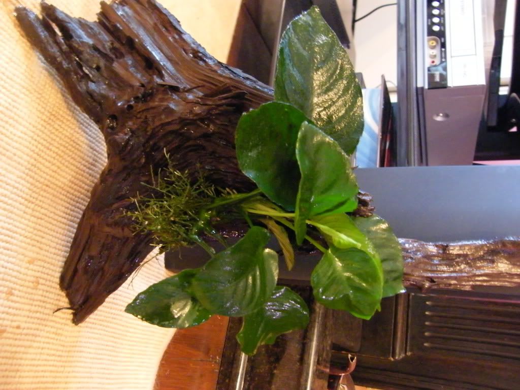 DSCF4895.jpg