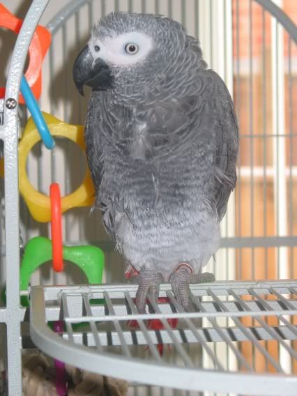 Baby020.jpg