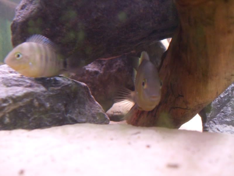 DSCF2032.jpg