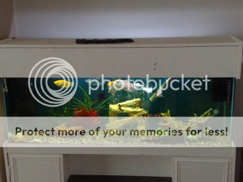 27052009112.jpg