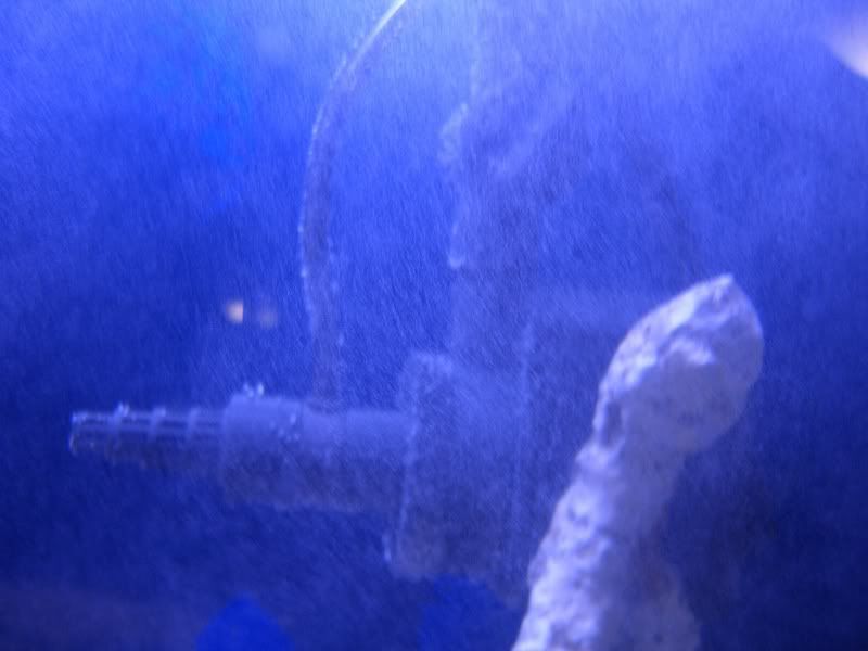 SuperSkimmer003-1.jpg