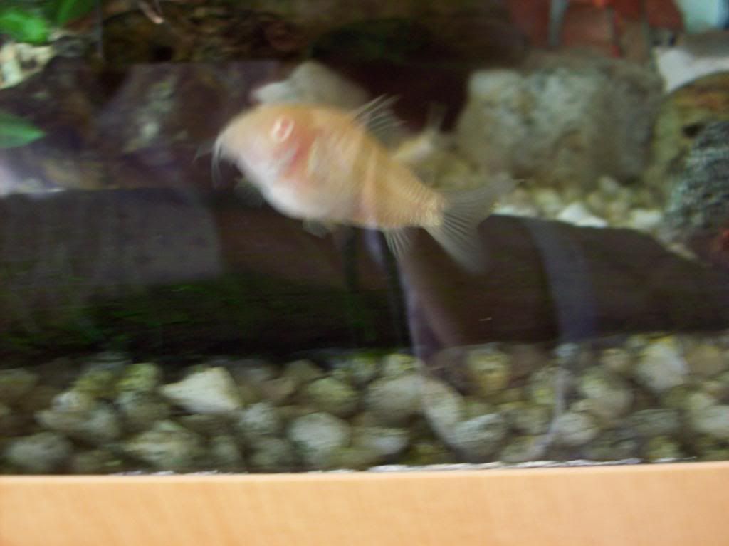 100_0928.jpg