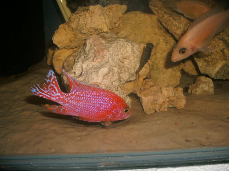 GEDC1208.jpg