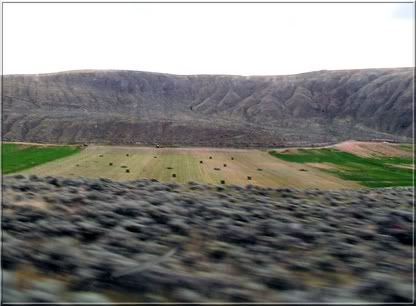 fieldsofhay.jpg