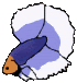 pixel1.gif