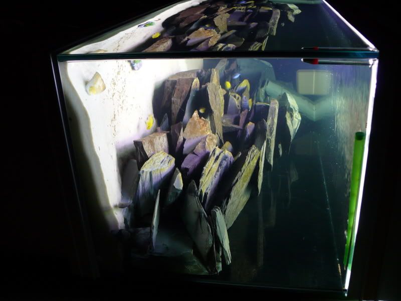 P1010216.jpg