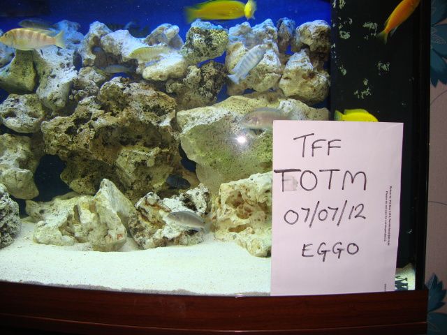 DSC01489.jpg