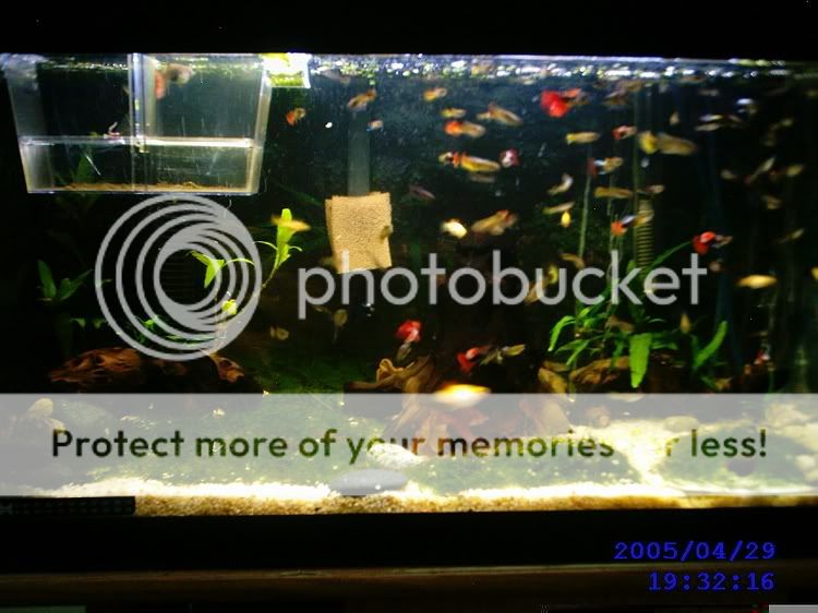 Picture045.jpg