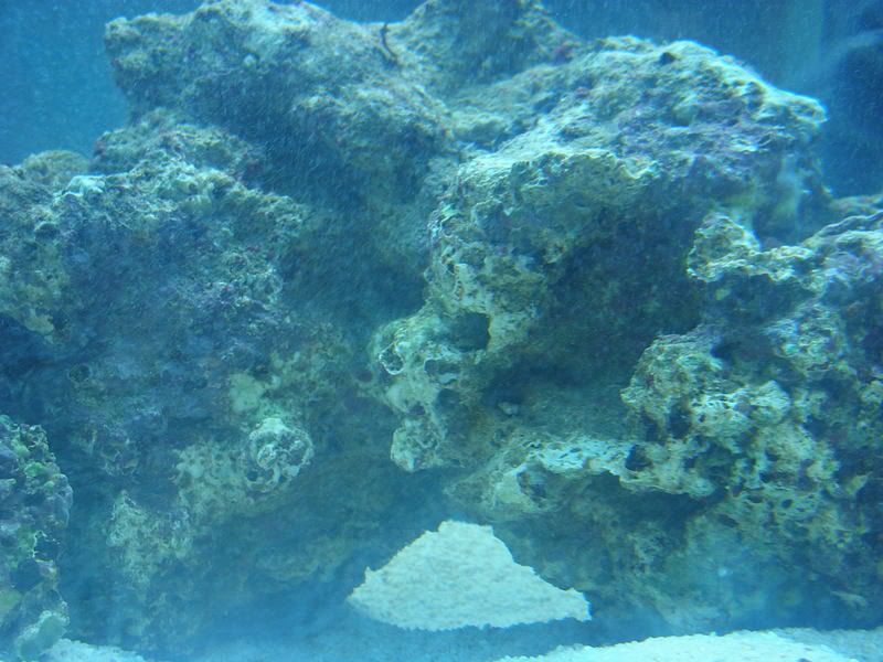 PC270142.jpg