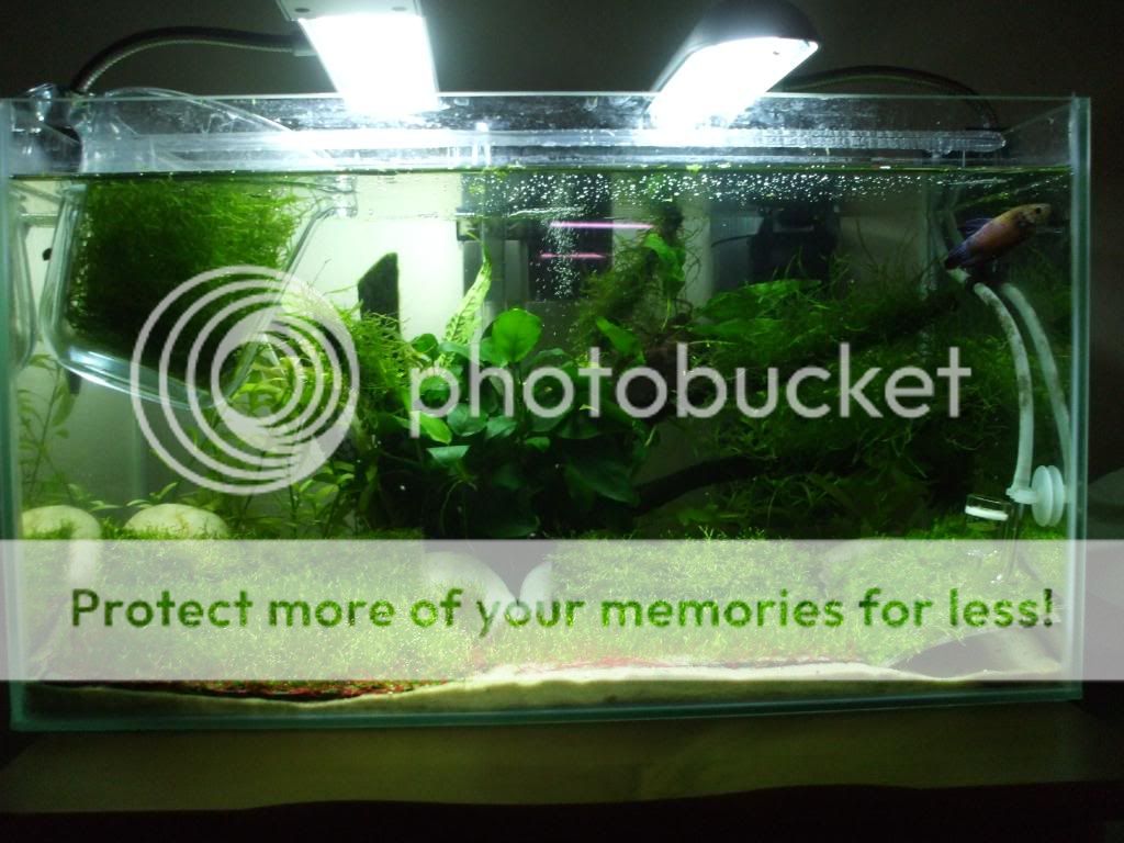 DSCF9477.jpg