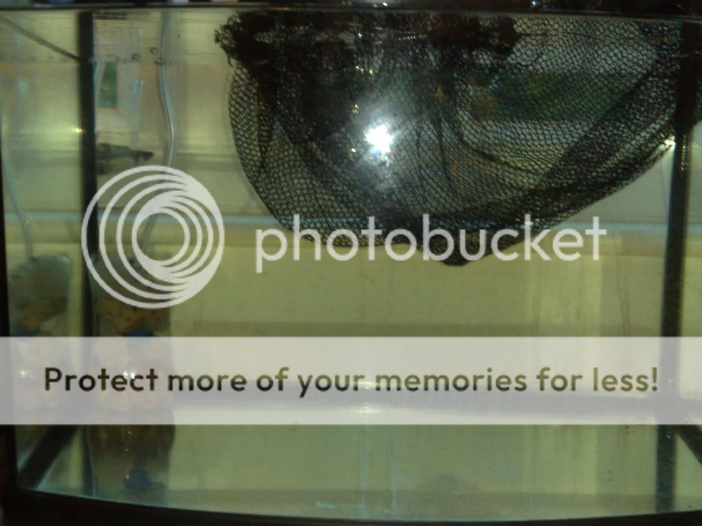 20012008306.jpg