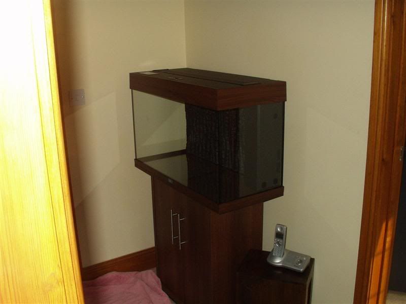P1010234Medium.jpg