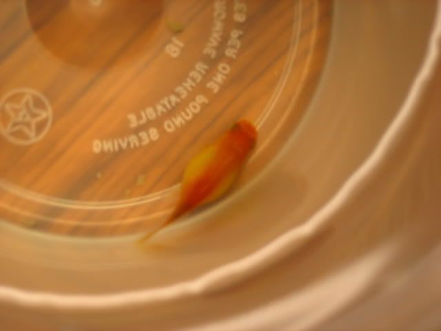 Picture013.jpg