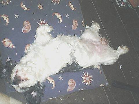missbonio2002.jpg