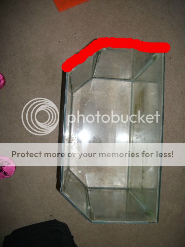 DSCF2940.jpg
