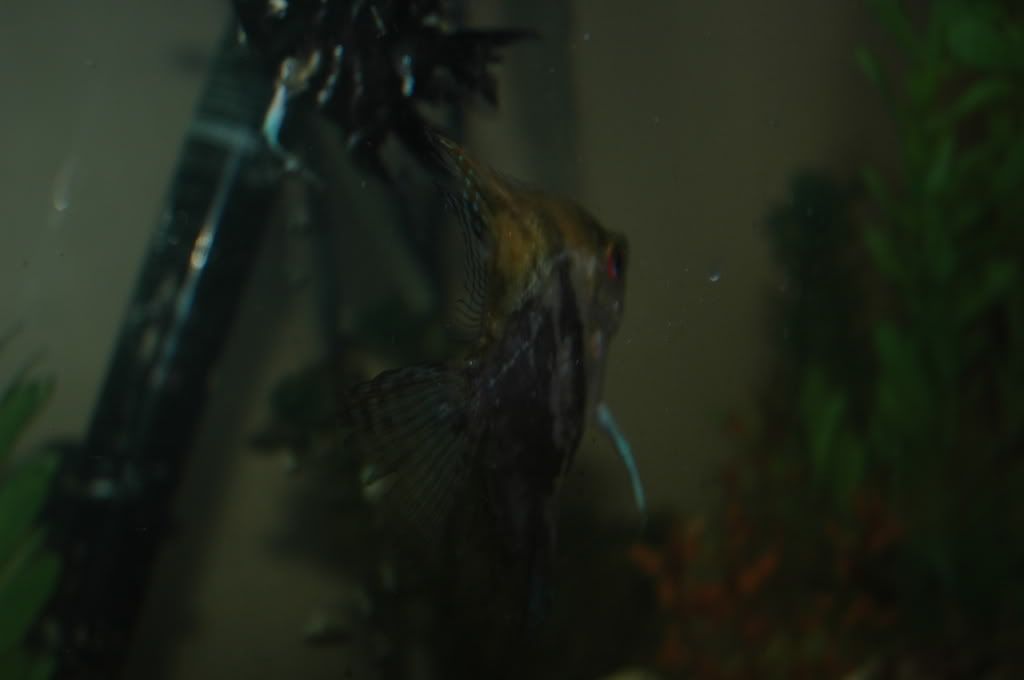 DSC_4864.jpg
