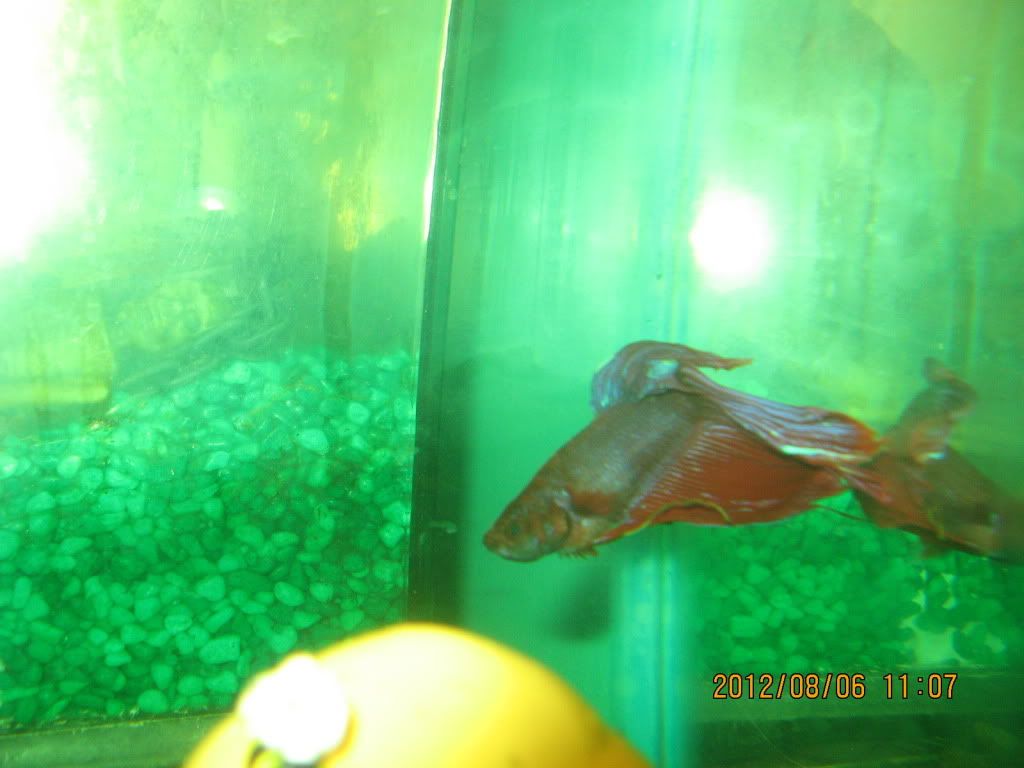 IMG_5321.jpg