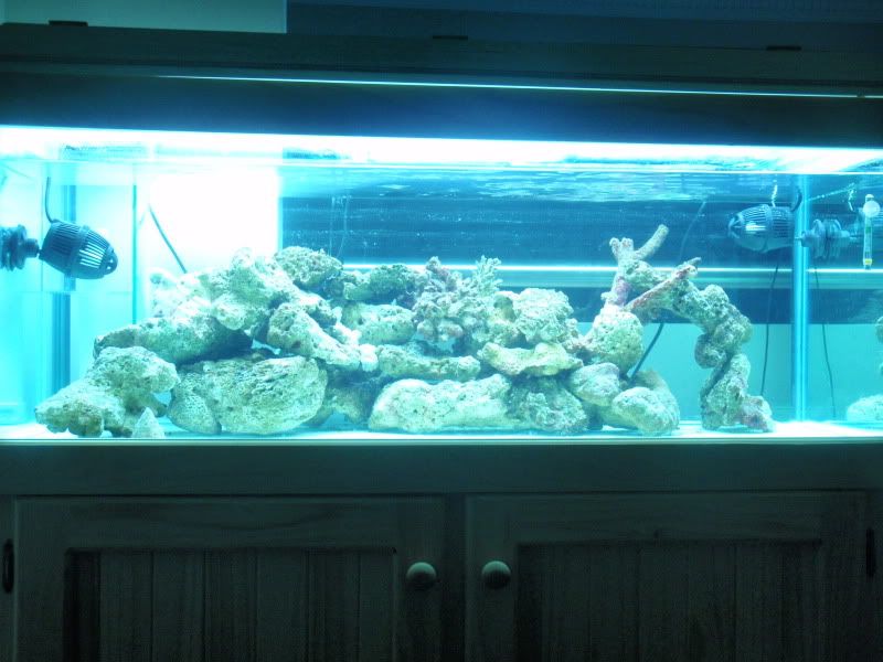 FTS.jpg