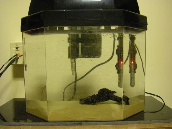 Final_Tank_scaled.jpg