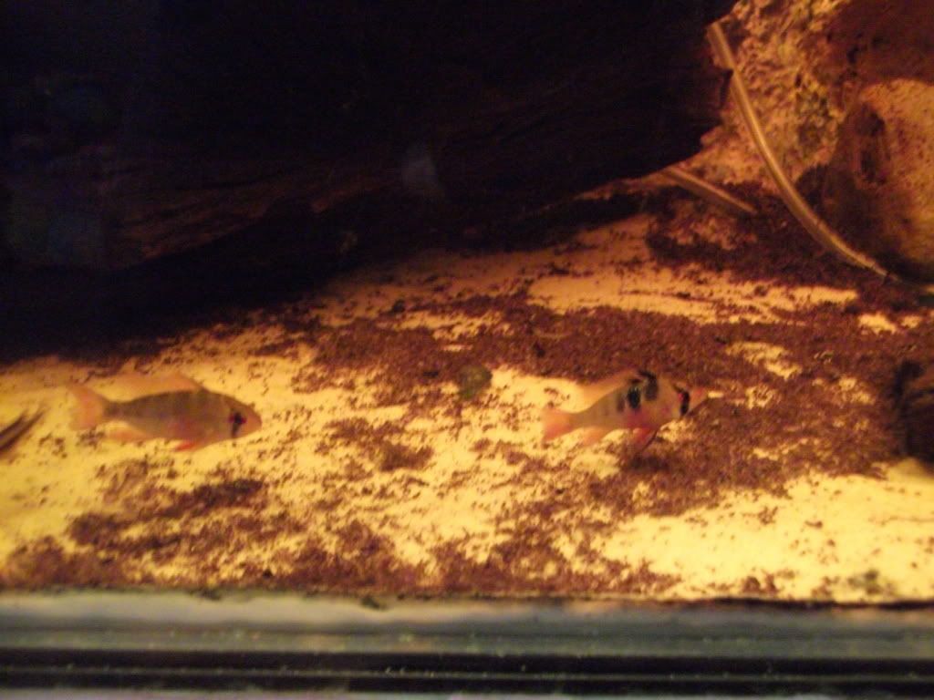 DSCF0490.jpg