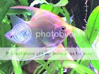 02-09-06_2131.jpg
