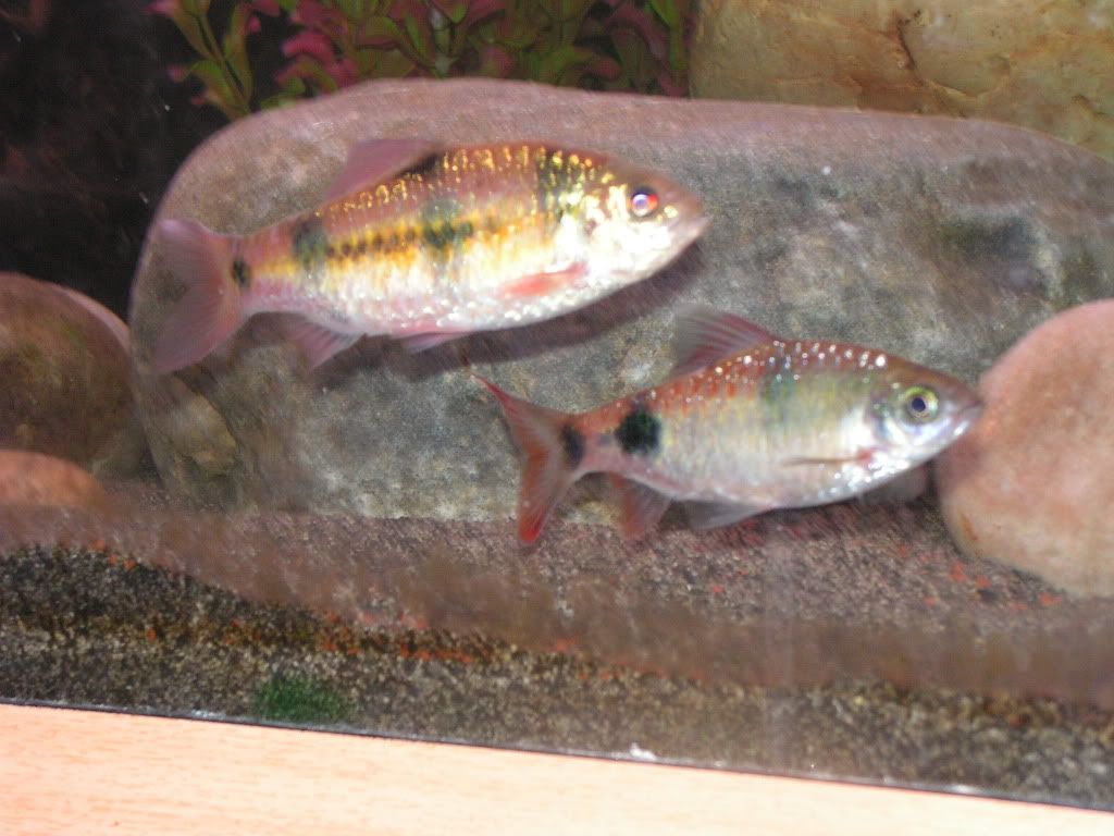 PICT1499.jpg