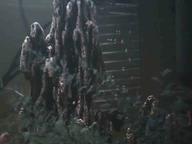 CO2working.jpg