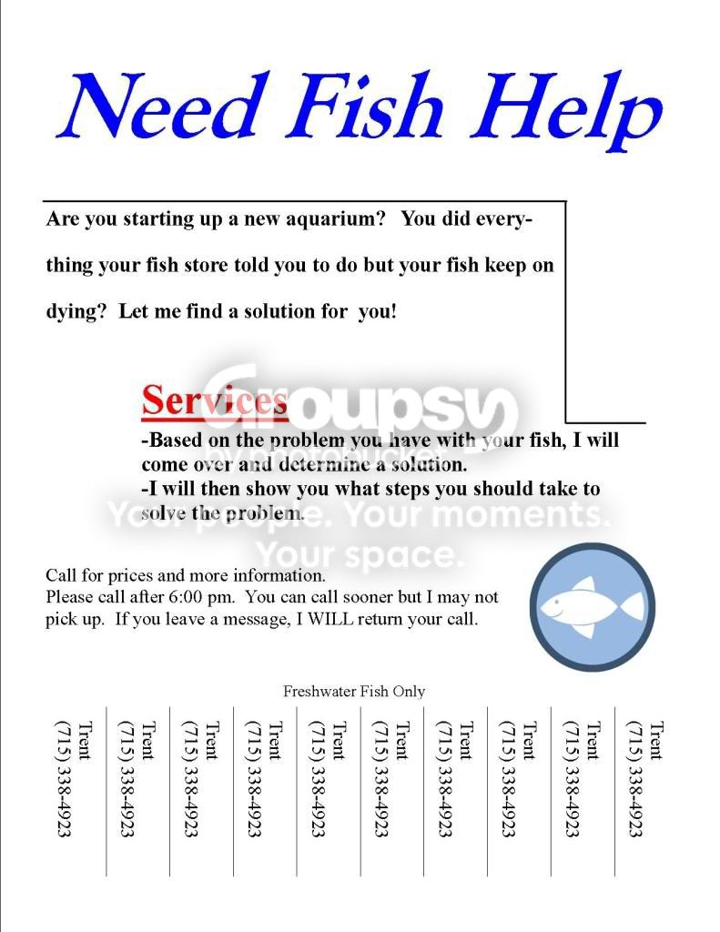 FishFlyer.jpg