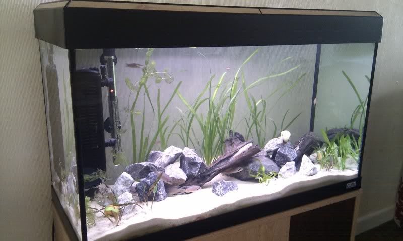 IMAG0851.jpg