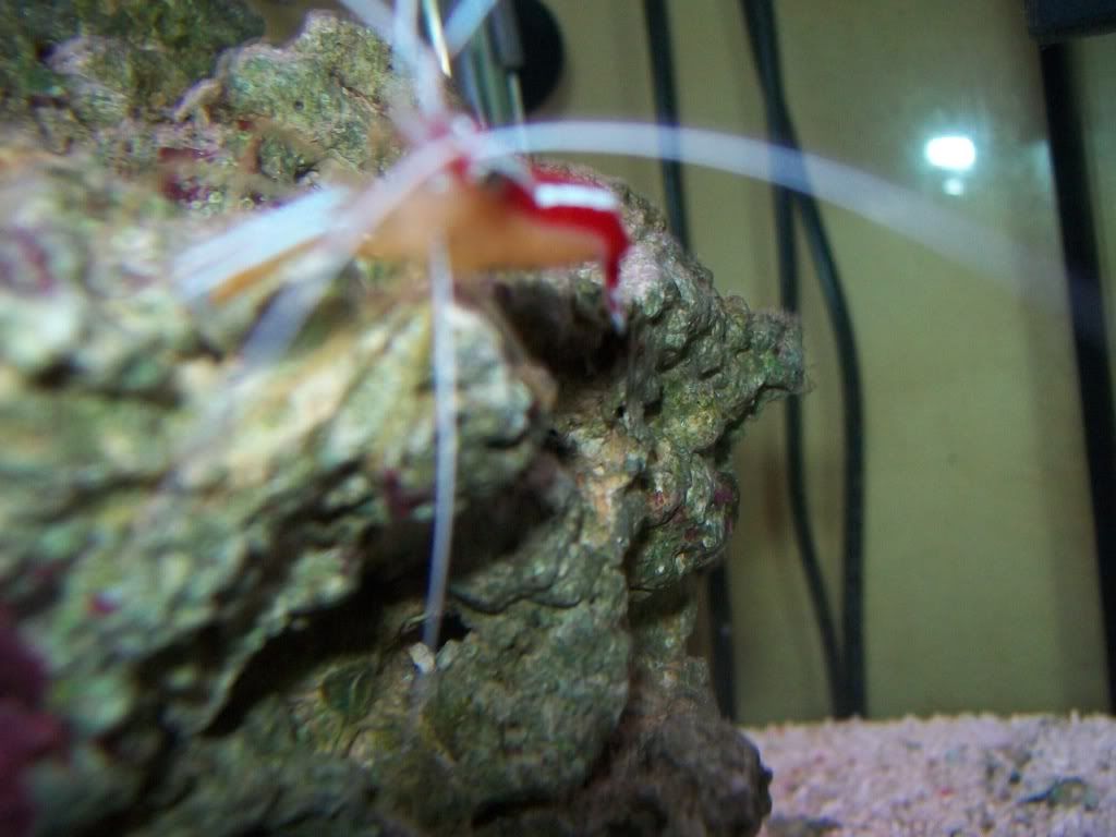 100_0745.jpg
