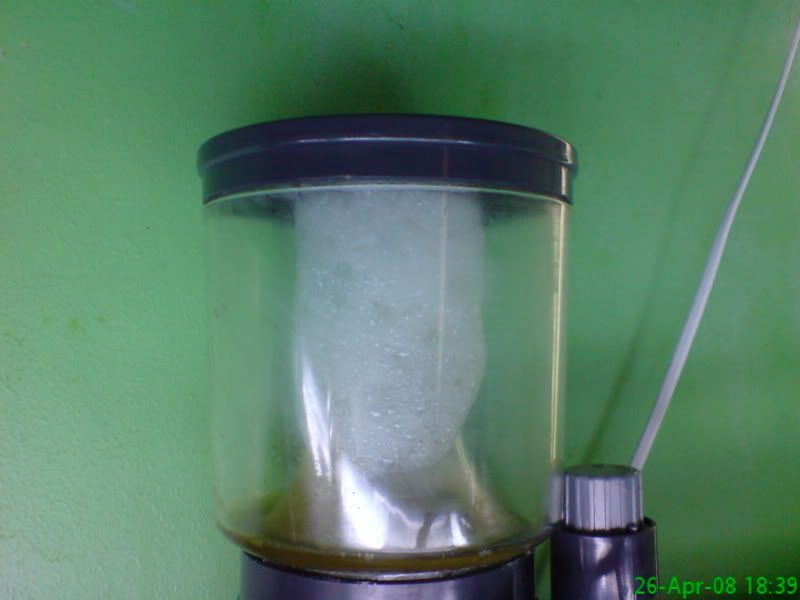 DSC00115.jpg