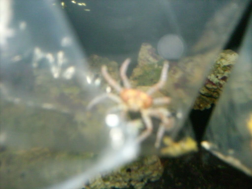 HPIM0310.jpg
