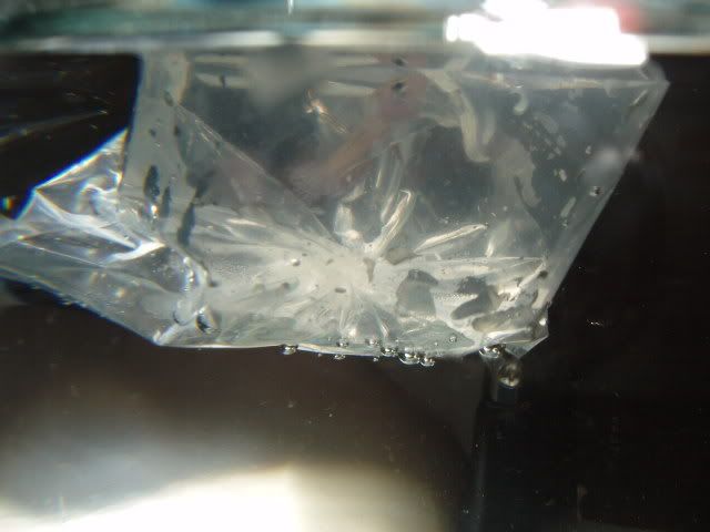 Synirrbabies012.jpg