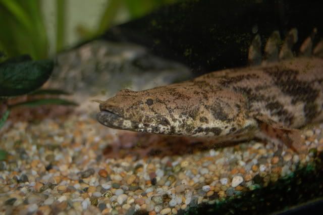 DSC_0553.jpg