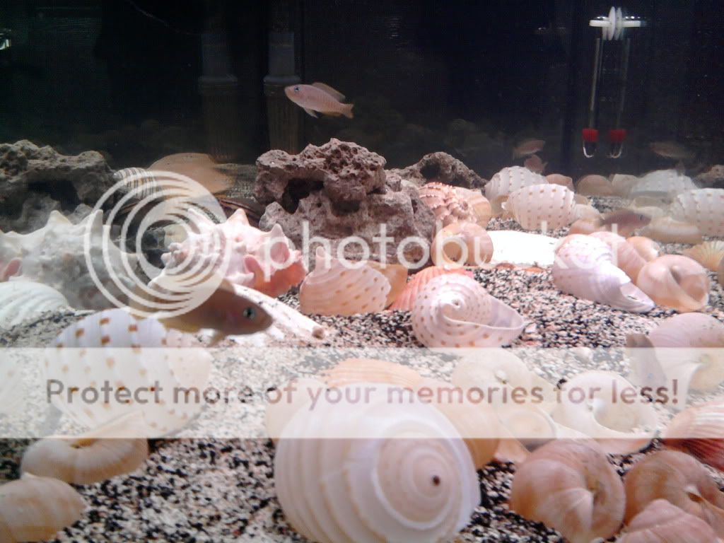 CopyofPhoto0182.jpg
