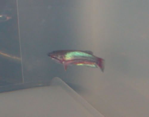 DSCN9629.jpg