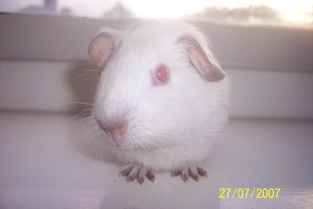lowri07.jpg