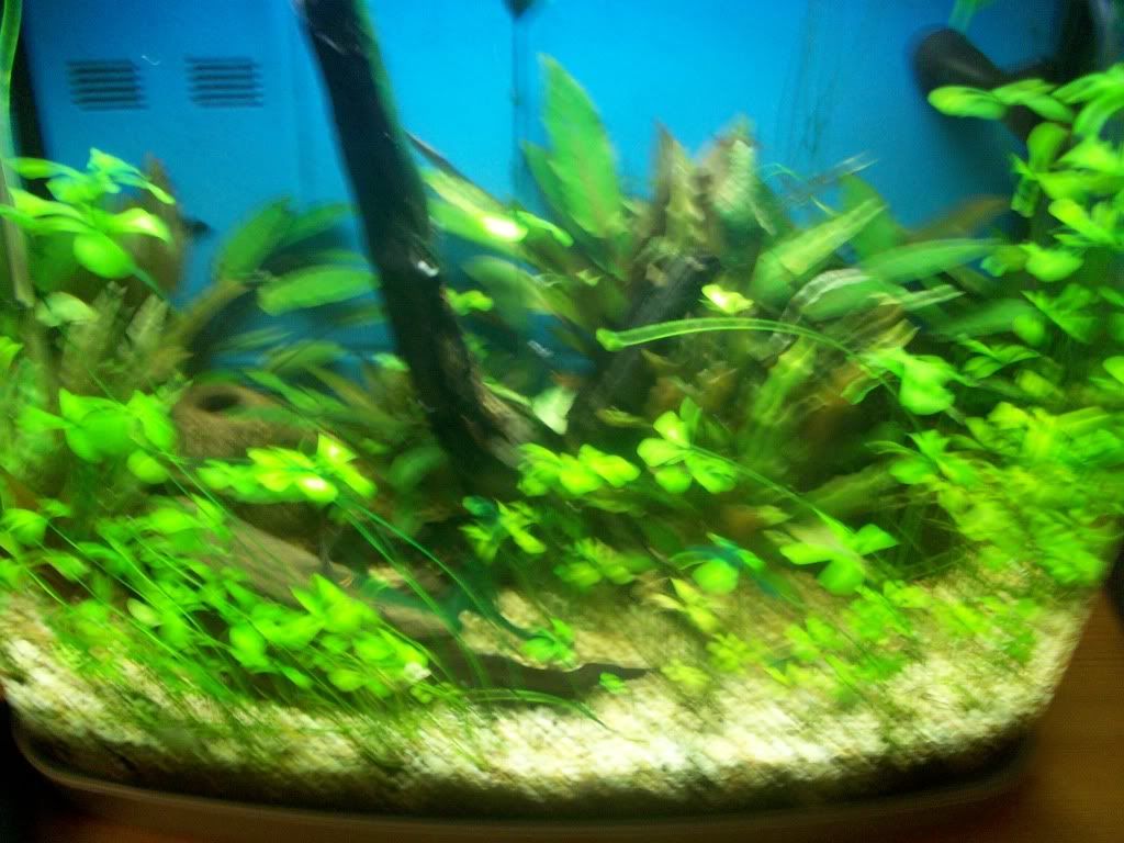 100_0211.jpg