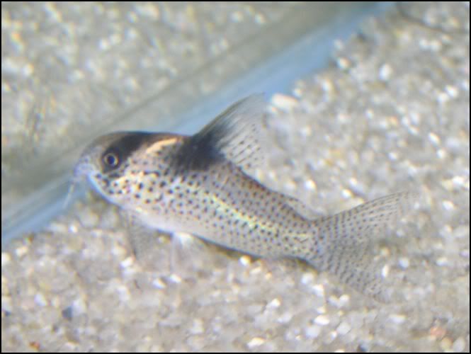 unidentified6.jpg