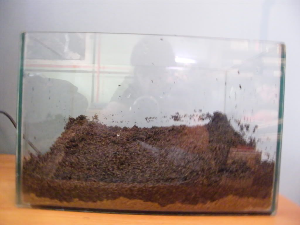 DSCF4542.jpg