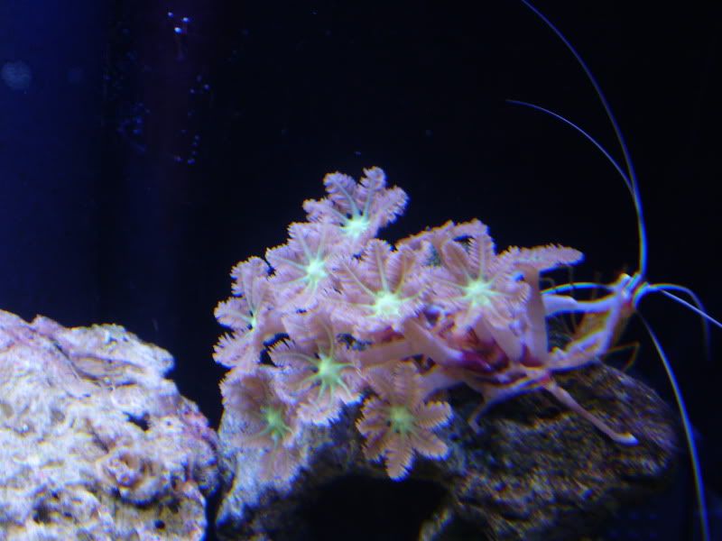 PC110134.jpg