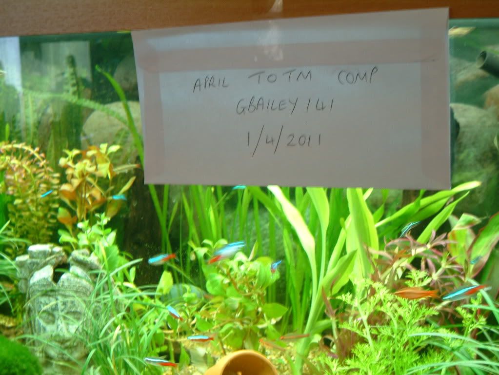 DSCF0006.jpg