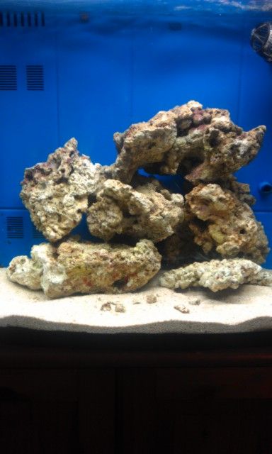 IMAG0926.jpg