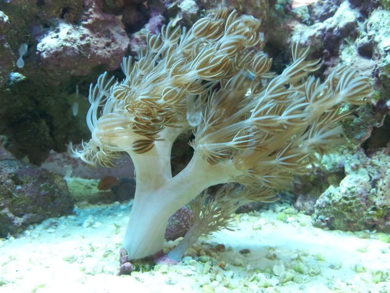 20120310_112821.jpg