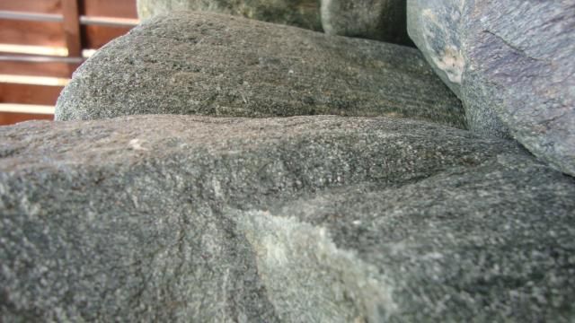 DSC02567.jpg